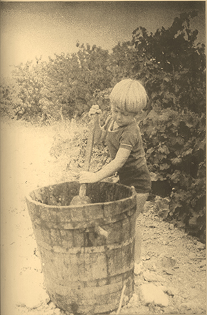 Vendanges à La Gauphine en 1968